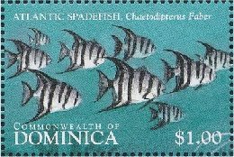 Colnect-3226-269-Atlantic-spadefish.jpg