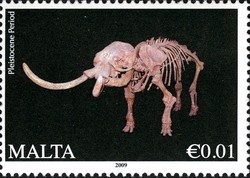Colnect-658-017-Skeleton-of-pre-historic-animal---Pleistocene-period.jpg