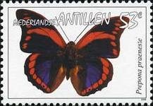 Colnect-966-953-Prepona-Butterfly-Prepona-praeneste.jpg