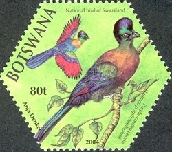 Colnect-1424-511-Purple-crested-Turaco-Tauraco-porphyreolophus.jpg
