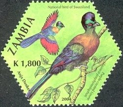 Colnect-938-677-Purple-crested-Turaco-Tauraco-porphyreolophus.jpg