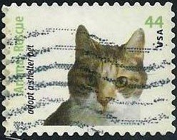 Colnect-1699-654-Calico-Cat-Felis-silvestris-catus.jpg