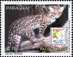 Colnect-1708-037-Ocelot-Leopardus-pardalis.jpg
