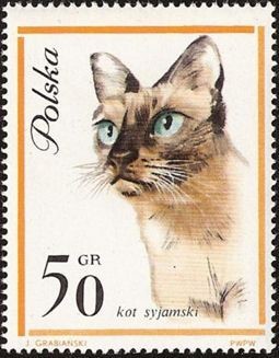 Colnect-452-116-Siamese-Cat-Felis-silvestris-catus.jpg