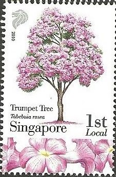 Colnect-4583-700-Trumpet-tree--tabebuia-rosea.jpg