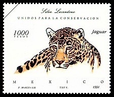 Colnect-309-782-Jaguar-Panthera-onca.jpg