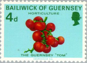 Colnect-125-537-Guernsey-Tomatoes.jpg