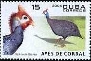 Colnect-2675-025-Helmeted-Guineafowl-Numida-meleagris.jpg