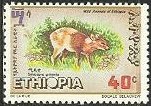 Colnect-3318-713-Common-Duiker-Sylvicapra-grimmia.jpg