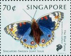 Colnect-444-305-Blue-Pansy-Junonia-otithya-ssp-wallacei.jpg