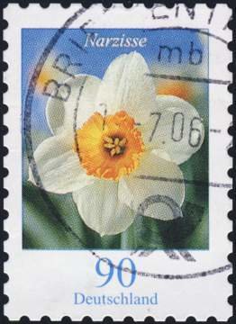 Colnect-1058-802-Narcissus-poeticus---Narcissus.jpg