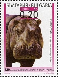 Colnect-1399-046-Hippopotamus-Hippopotamus-amphibius.jpg