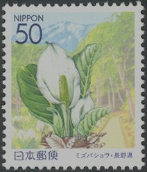 Colnect-3963-429-Skunk-Cabbage---Okususobana-Nature-Garden-Hokushin-area.jpg