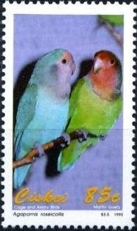 Colnect-1456-715-Rosy-faced-Lovebird-Agapornis-roseicollis.jpg