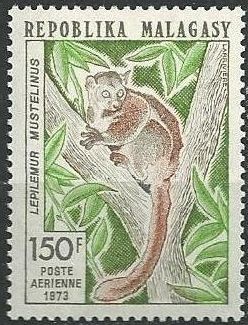 Colnect-2106-592-Greater-Sportive-Lemur-Lepilemur-mustelinus.jpg