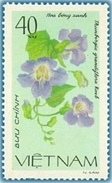 Colnect-1627-874-Blue-Trumpet-Vine---Thunbergia-grandiflora.jpg