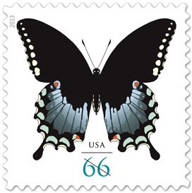 Colnect-2005-099-Spicebush-Swallowtail-Papilio-troilus.jpg