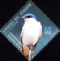 Colnect-973-172-White-winged-Swallow-Tachycineta-albiventer.jpg