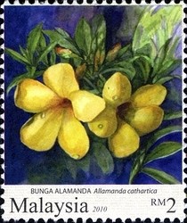 Colnect-1434-528-Garden-Flowers--Allamanda-cathartica.jpg