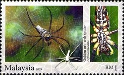 Colnect-1435-789-Golden-Orb-web-Spider-Nephila-maculata.jpg