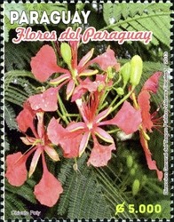 Colnect-2373-302-Flowers-from-Paraguay.jpg