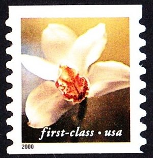 Colnect-2987-142-Tan-Flower---Cymbidium-Orchid.jpg
