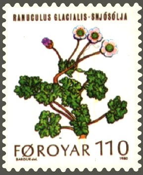 Faroe_stamp_043_mountain_flowers_%28ranunculus_glacialis%29.jpg