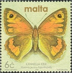 Colnect-657-495-Maltese-Meadow-Brown-Maniola-jurtina-hyperhispulla.jpg