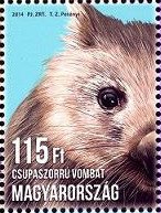 Colnect-2157-380-Common-Wombat-Vombatus-ursinus.jpg