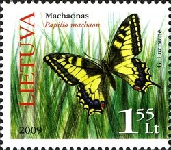 Colnect-478-159-Swallowtail-Papilio-machaon.jpg