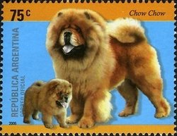 Colnect-1261-497-Chow-Chow-Canis-lupus-familiaris.jpg
