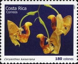 Colnect-1723-392-Coryanthes-kaiseriana.jpg