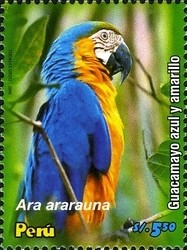 Colnect-1584-587-Blue-and-yellow-Macaw-Ara-ararauna.jpg