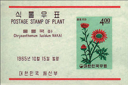 Colnect-2715-290-Chrysanthemum-lucidum.jpg