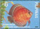 Colnect-2959-142-Blue-Discus-Symphysodon-aequifasciata-ssp-axelrodi.jpg