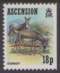 Colnect-1299-788-Donkey-Equus-asinus-asinus.jpg