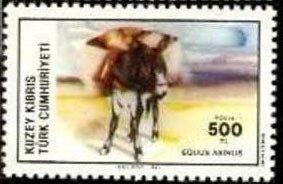 Colnect-1687-450-Donkey-Equus-asinus-asinus.jpg