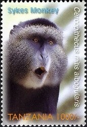 Colnect-1691-015-Sykes-Monkey-Cercopithecus-albogularis.jpg