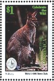 Colnect-3207-163-Wallaby-with-young-in-Pouch.jpg