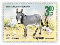 Colnect-3752-884-Donkey-Equus-asinus-asinus.jpg