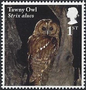 Colnect-4978-990-Tawny-Owl---Strix-aluco.jpg