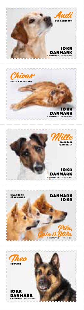 Colnect-6090-543-My-Dog-On-A-Stamp.jpg
