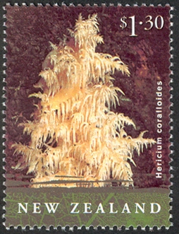 NZ010.02.jpg