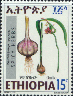 Colnect-3322-319-Garlic.jpg