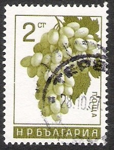 Colnect-1567-963-Grape.jpg