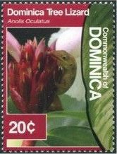 Colnect-3292-723-Dominican-Anole-Anolis-oculatus--.jpg