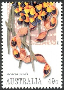 Colnect-458-450-Acacia-Seeds.jpg