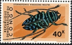Colnect-1104-892-Jewel-Longhorn-Beetle-Sternotomis-virescens.jpg