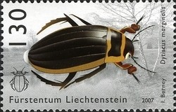 Colnect-1300-808-Great-Diving-Beetle-Dytiscus-marginalis.jpg