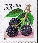 Colnect-201-242-Fruit-BerriesBlackberries.jpg